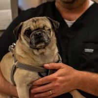 SPCA Albrecht Center Veterinary Care Center ico