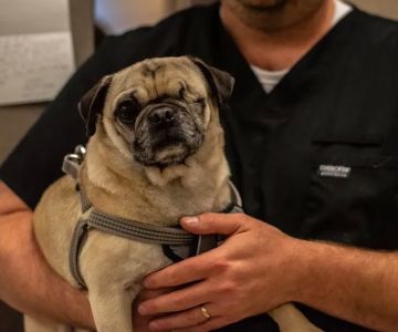 SPCA Albrecht Center Veterinary Care Center