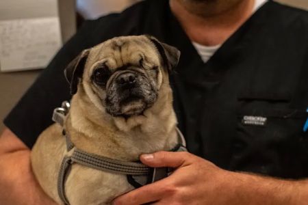 SPCA Albrecht Center Veterinary Care Center