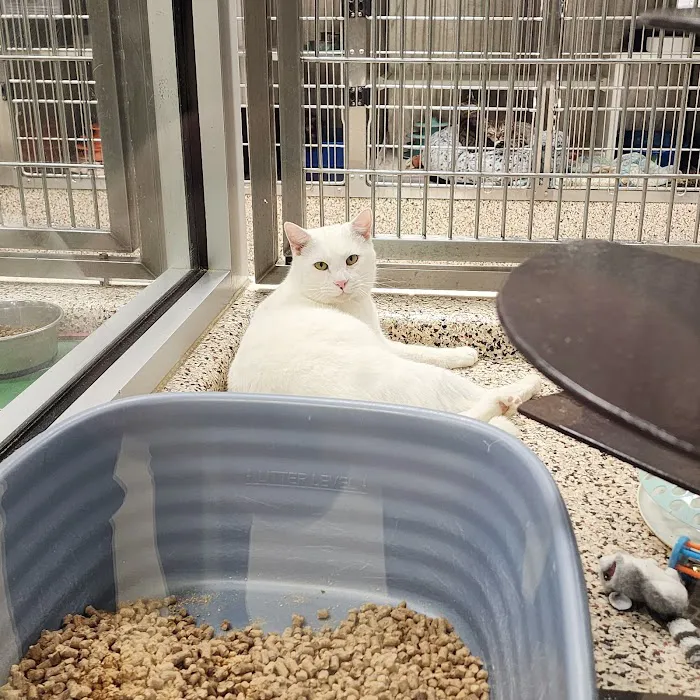 SPCA Albrecht Center Veterinary Care Center 12