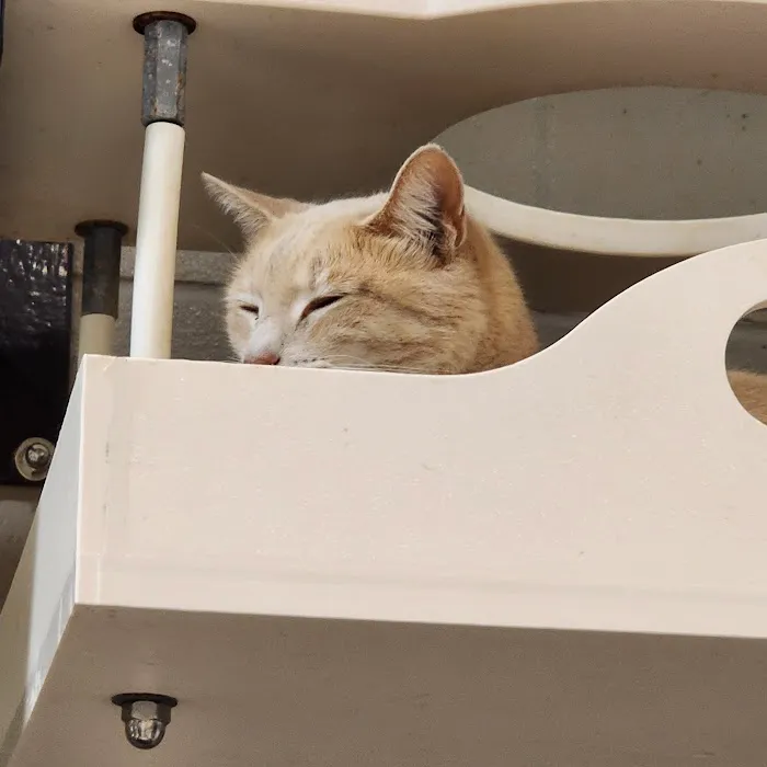 SPCA Albrecht Center Veterinary Care Center 12
