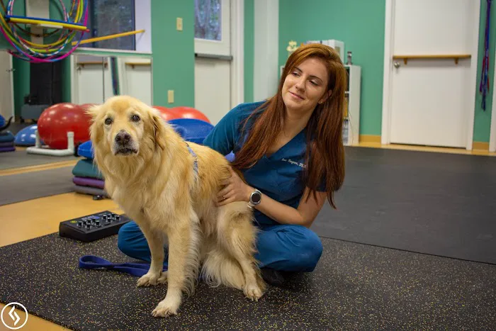 Aiken Pet Fitness and Rehabilitation 12