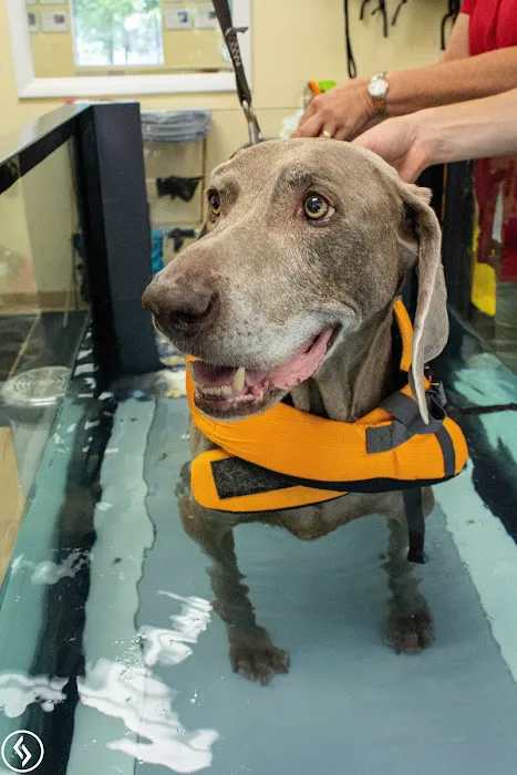 Aiken Pet Fitness and Rehabilitation 12
