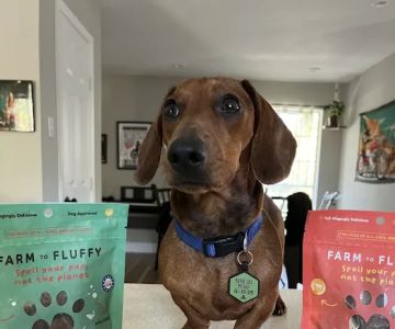 Farm to Fluffy