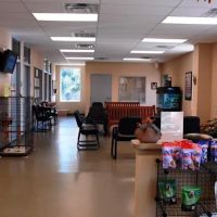 Aiken Animal Hospital ico