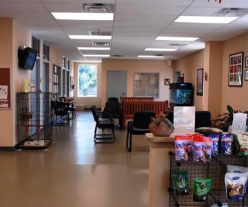 Aiken Animal Hospital