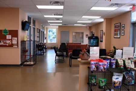 Aiken Animal Hospital