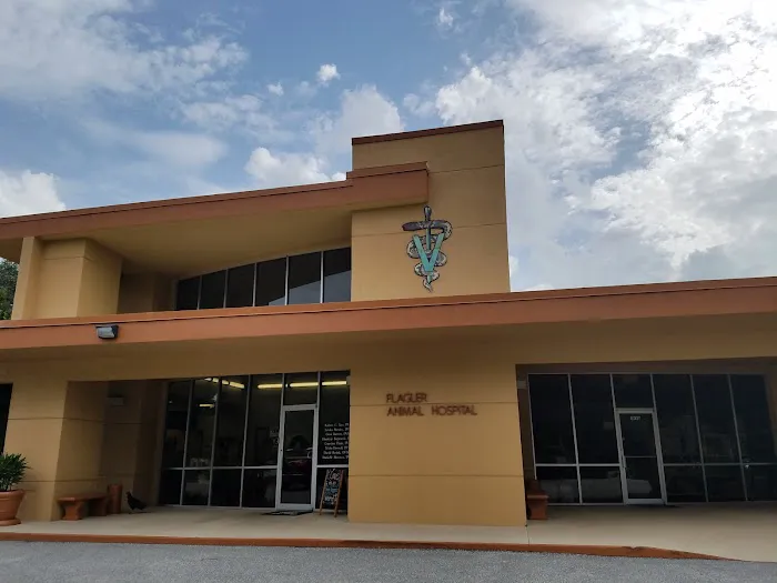 Flagler Animal Hospital 12