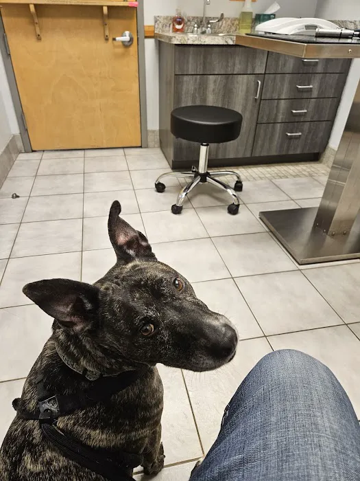 Flagler Animal Hospital 12