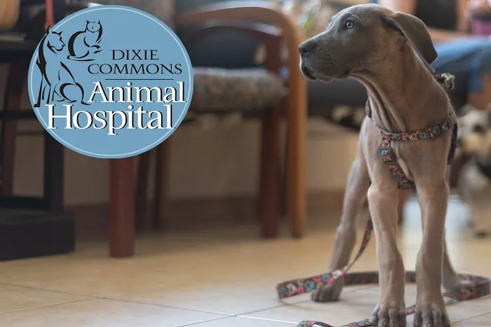 Dixie Commons Animal Hospital 12