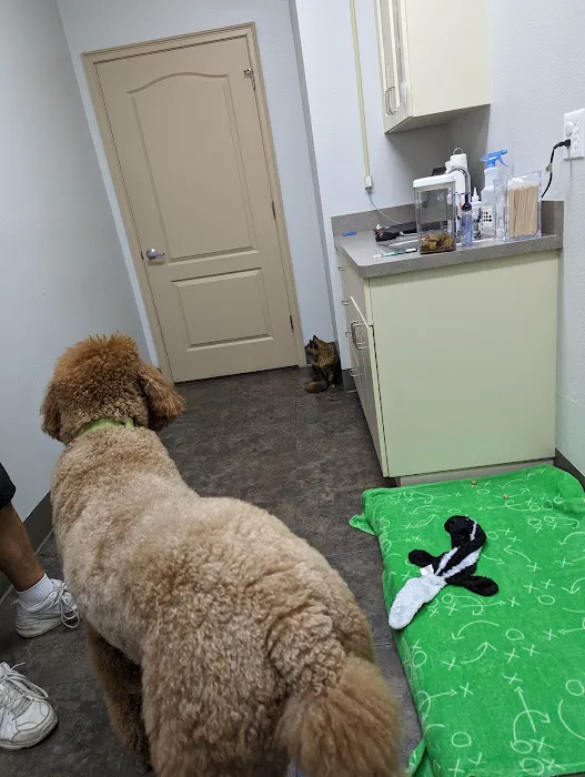 Salty Paws Animal Hospital 12