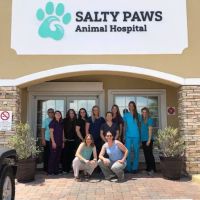 Salty Paws Animal Hospital ico