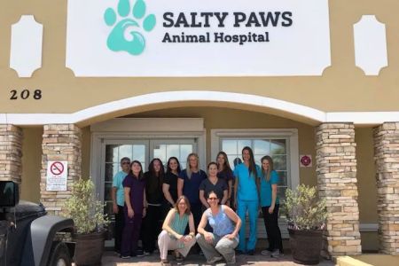 Salty Paws Animal Hospital