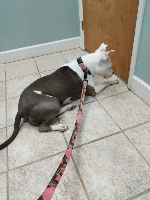 Plantation Animal Hospital and Emergency Care 6