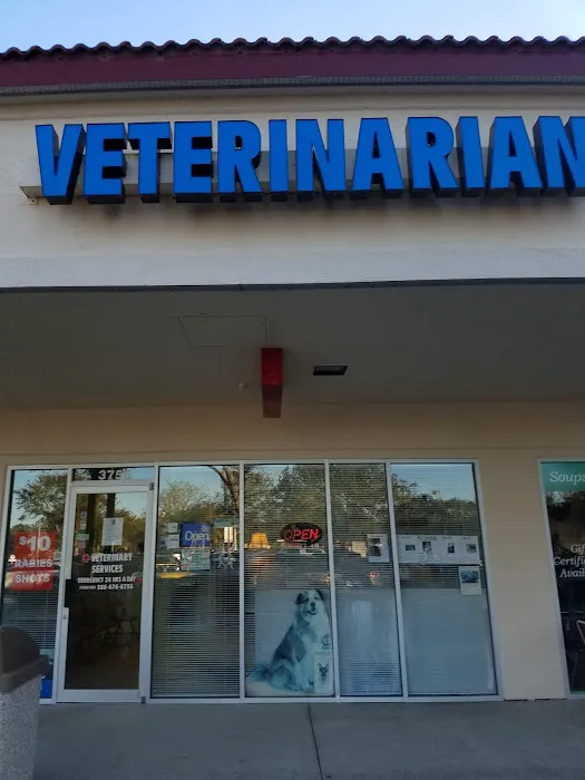 Plantation Animal Hospital and Emergency Care 3