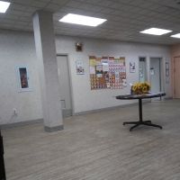 St. Francis Animal Hospital ico