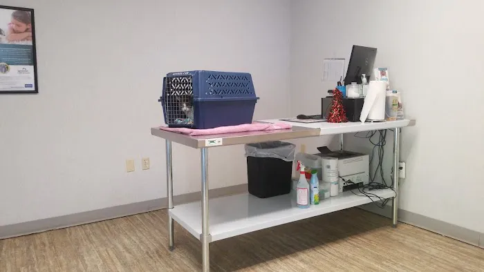 St. Francis Animal Hospital 12