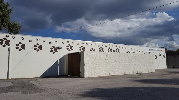 St. Francis Animal Hospital 12