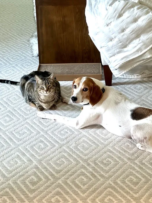 Miramar Animal Hospital 12