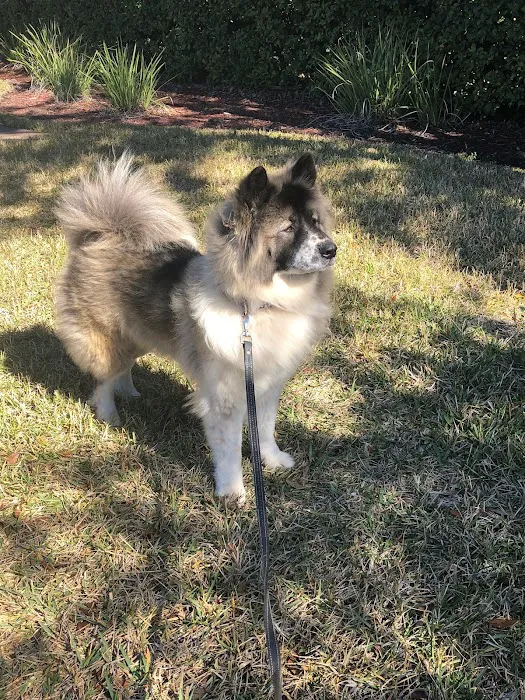 Miramar Animal Hospital 12