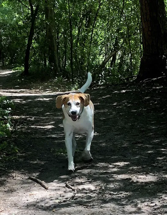 Miramar Animal Hospital 12