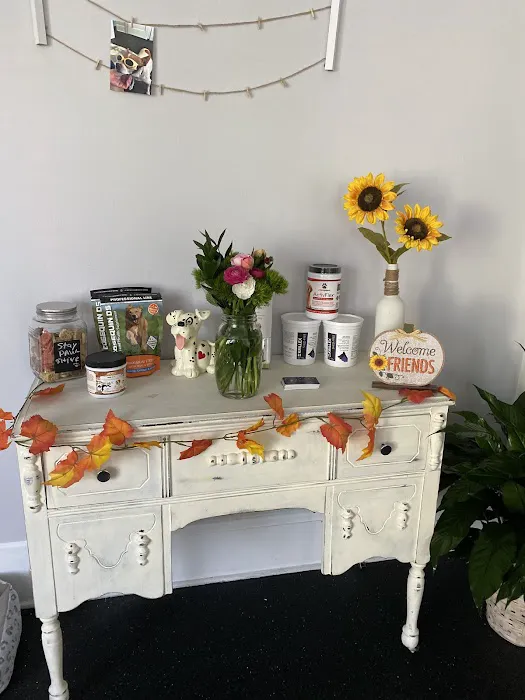 Pawsitive Healing Mobility Center 12