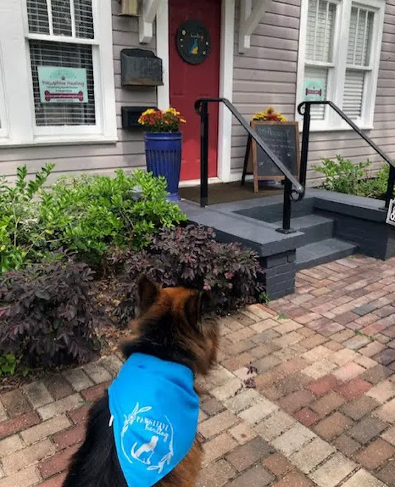 Pawsitive Healing Mobility Center 12