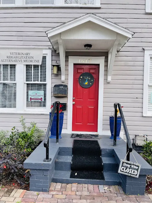 Pawsitive Healing Mobility Center 12
