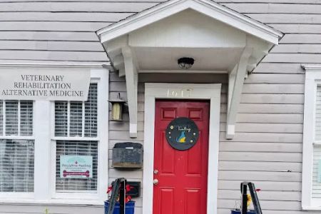Pawsitive Healing Mobility Center