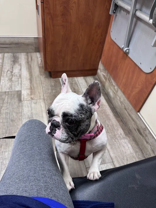 San Marco Animal Hospital 12