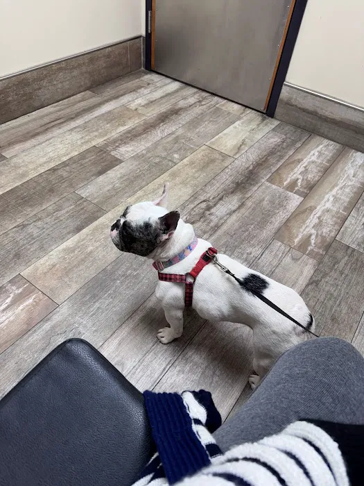 San Marco Animal Hospital 12