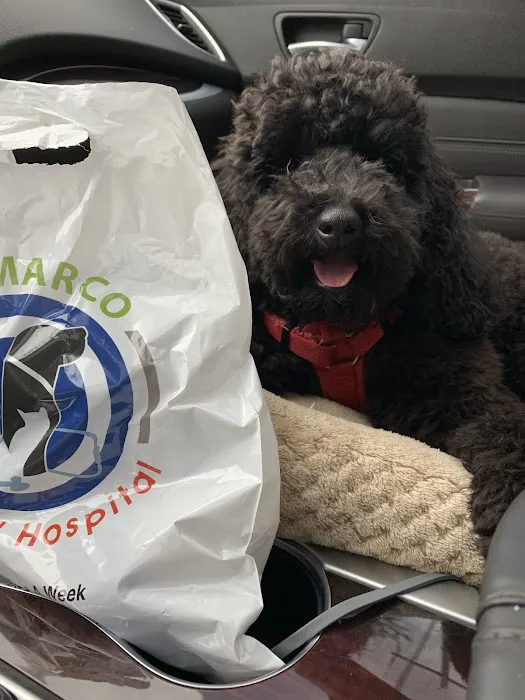 San Marco Animal Hospital 12
