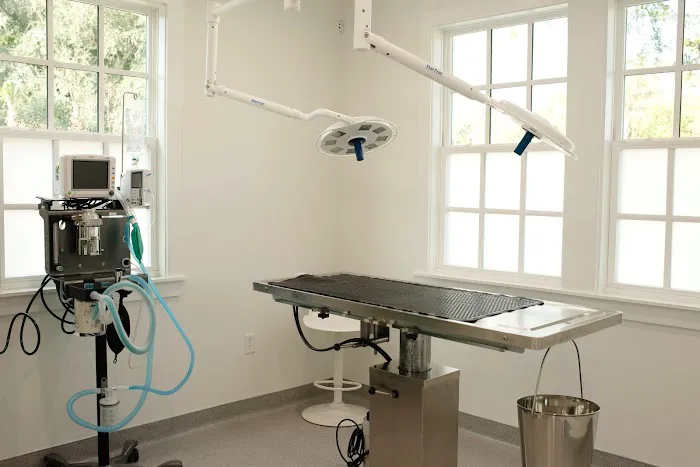Avondale Animal Hospital 12