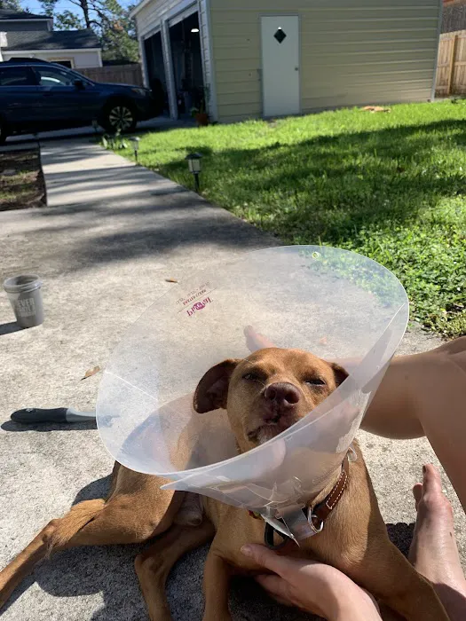 Avondale Animal Hospital 12