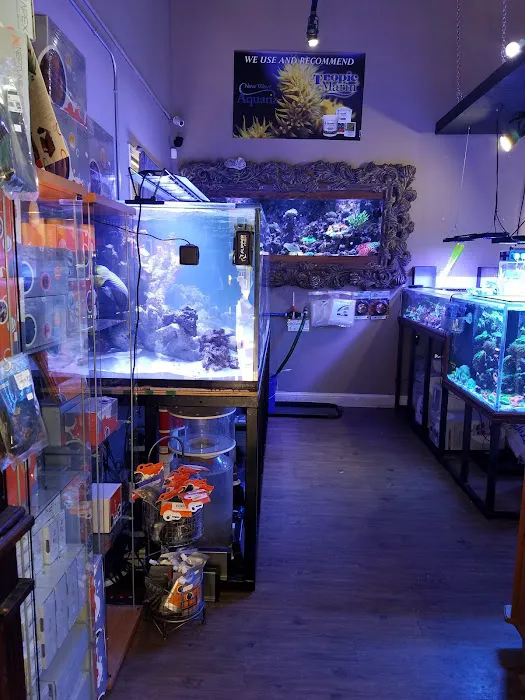 New Wave Aquaria 8