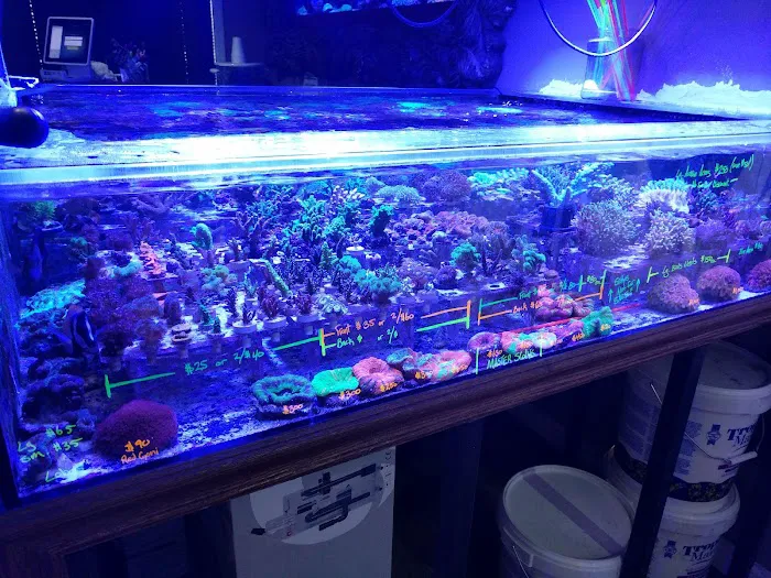 New Wave Aquaria 7
