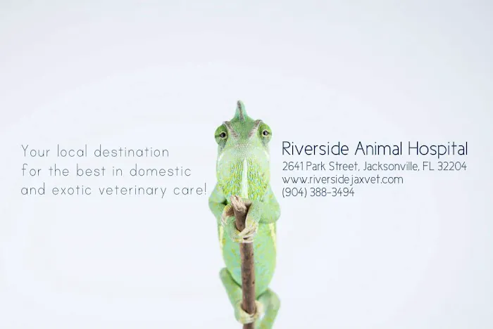 Riverside Animal Hospital 12