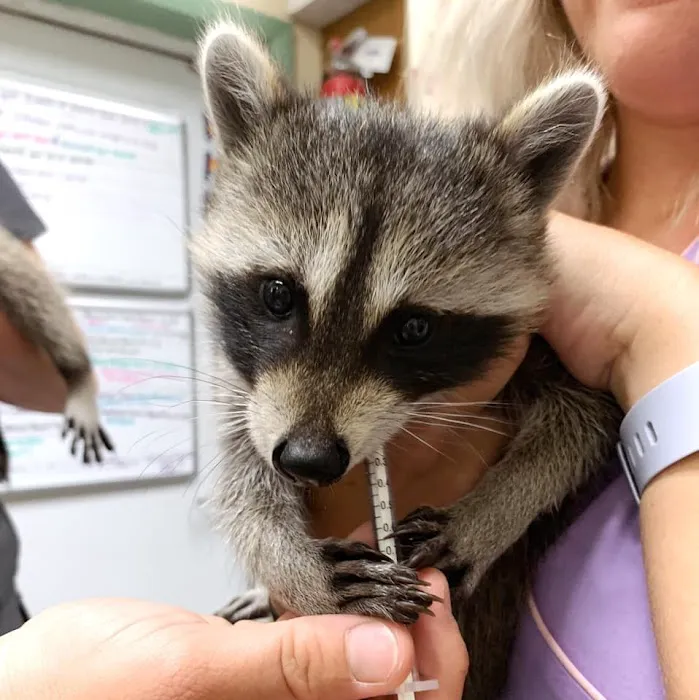 Riverside Animal Hospital 12