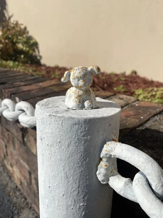 Seaglass Spay Neuter 12