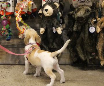 Chuck & Don's Pet Food & Supplies