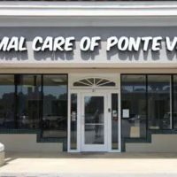 Animal Care of Ponte Vedra ico