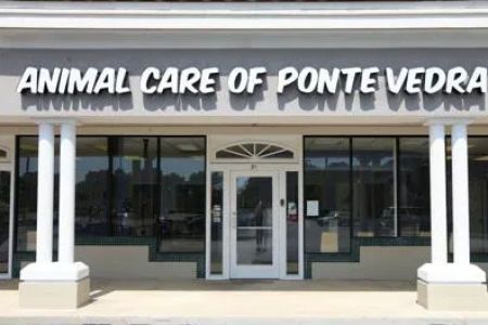 Animal Care of Ponte Vedra
