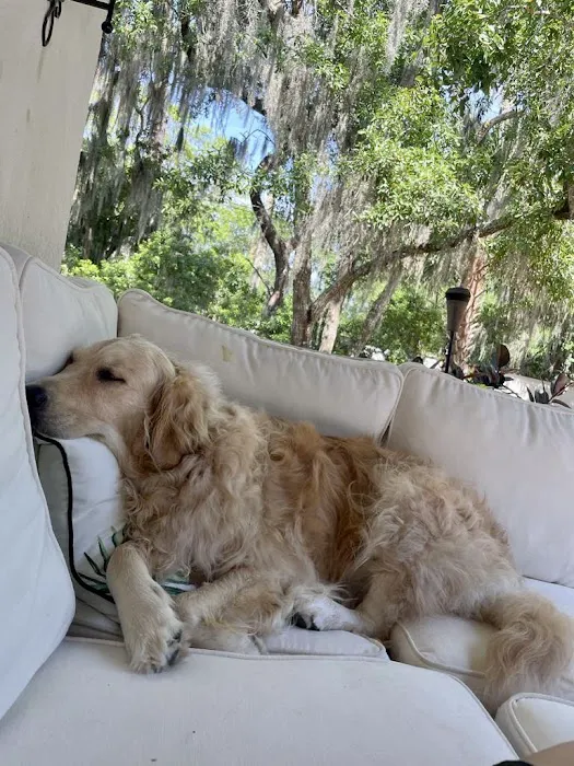Animal Care of Ponte Vedra 12