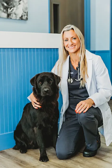 Animal Care of Ponte Vedra 12