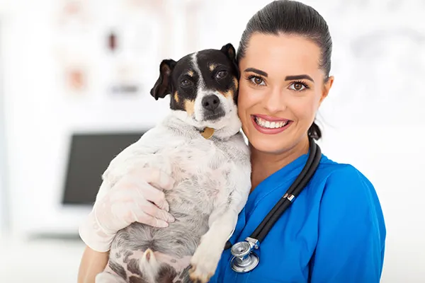 Hirsch Animal Hospital 2