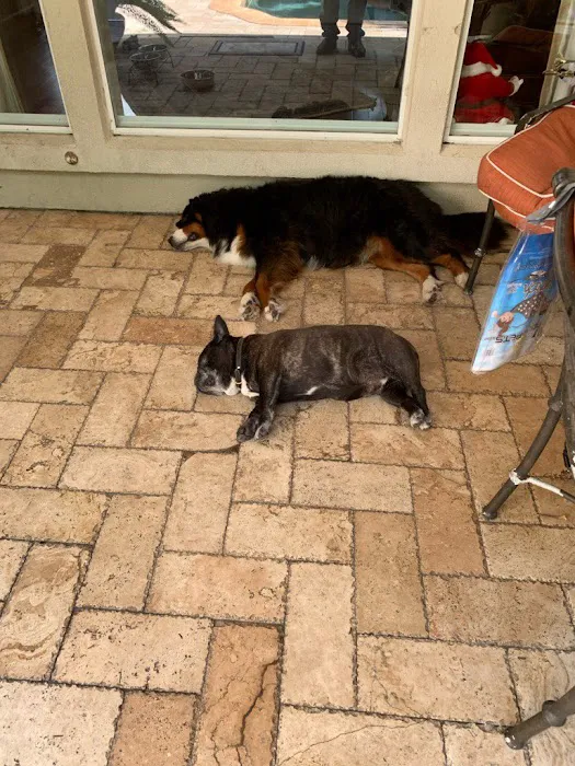 Hirsch Animal Hospital 8
