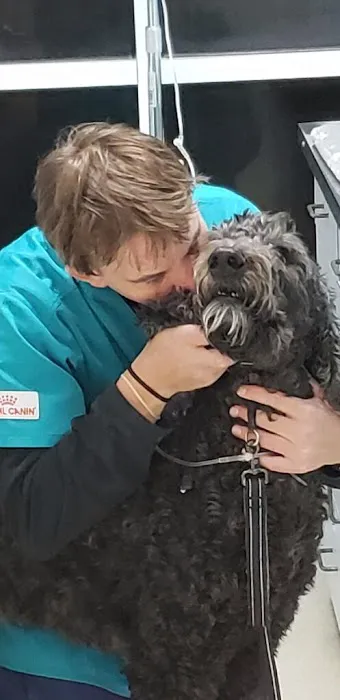 Hirsch Animal Hospital 1