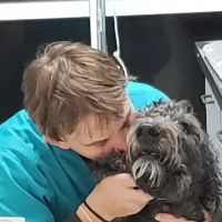 Hirsch Animal Hospital ico