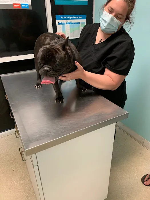 Hirsch Animal Hospital 5