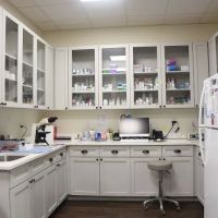 Sea Oats Animal Hospital ico